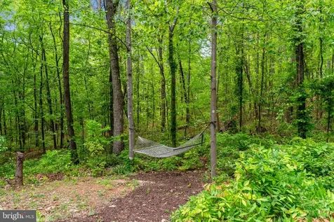 19106 Loggers Road Culpeper VA 22701