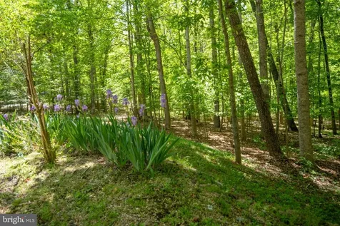 11154 Alum Springs Road Culpeper VA 22701