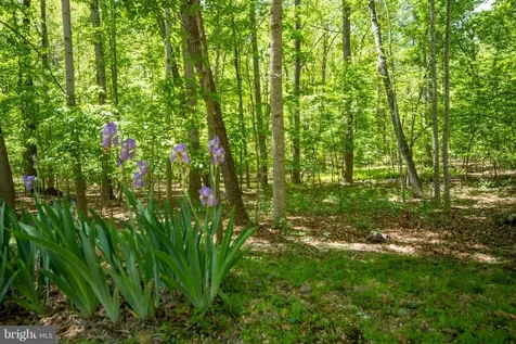 11154 Alum Springs Road Culpeper VA 22701