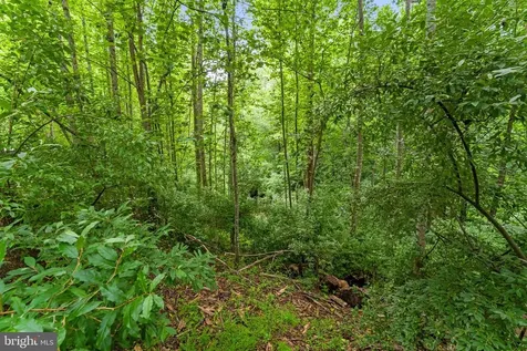 15160 Quail Ridge Drive Amissville VA 20106