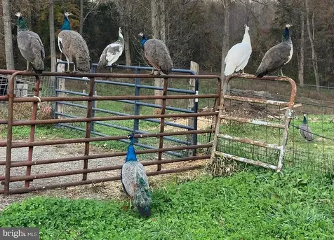 3085 Indian Run Road Amissville VA 20106