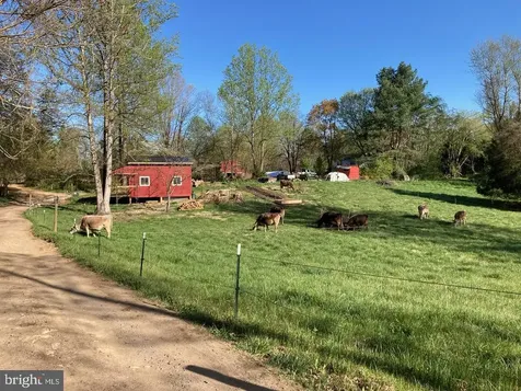 3085 Indian Run Road Amissville VA 20106