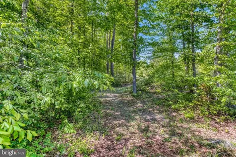8427 Tall Oak Drive Culpeper VA 22701