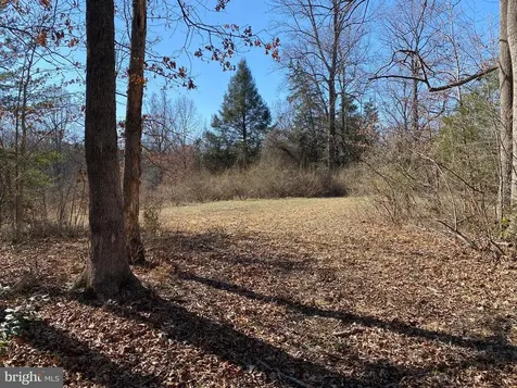 0 Whites Farm Lane Culpeper VA 22701