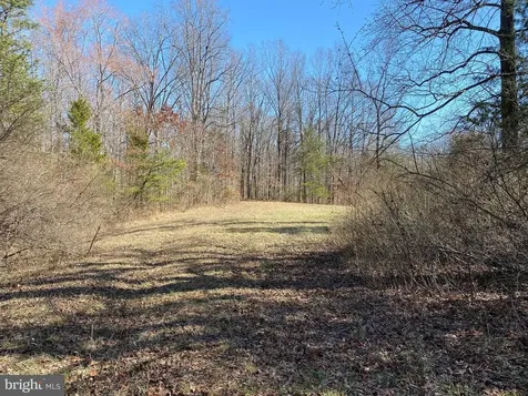 0 Whites Farm Lane Culpeper VA 22701