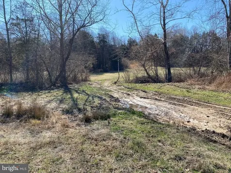0 Whites Farm Lot 2 Donlon Culpeper VA 22701
