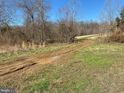 0 Whites Farm Lot 2 Donlon Culpeper VA 22701