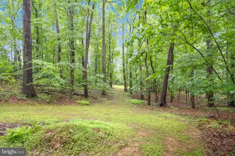 3132 Running Quail Trail Amissville VA 20106