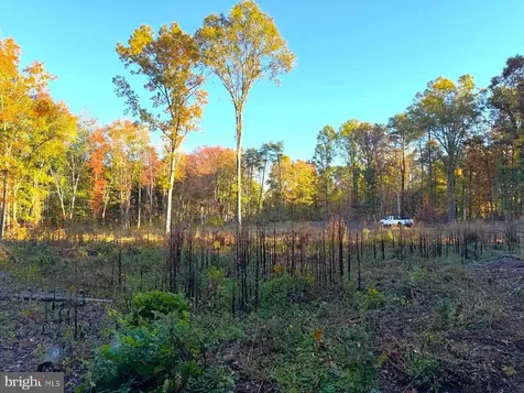 16120 Brandy Road Culpeper VA 22701