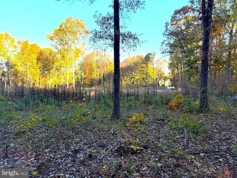 16120 Brandy Road Culpeper VA 22701