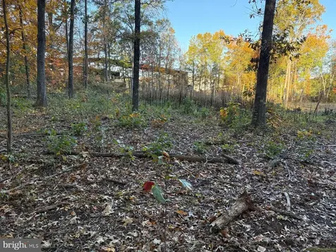 16120 Brandy Road Culpeper VA 22701
