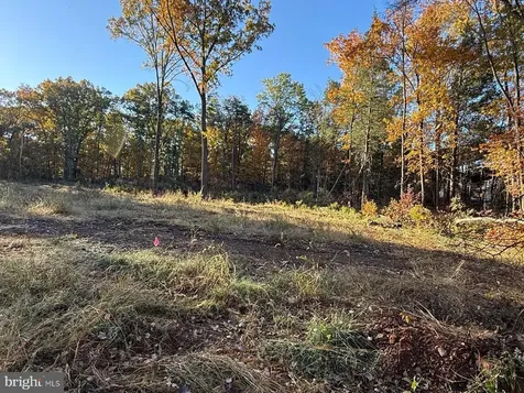 16120 Brandy Road Culpeper VA 22701