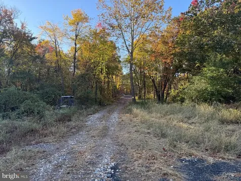 16120 Brandy Road Culpeper VA 22701