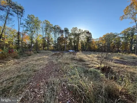 16120 Brandy Road Culpeper VA 22701