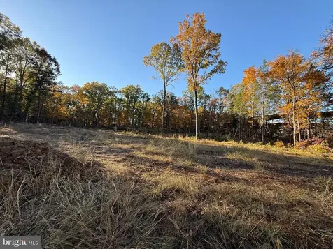16120 Brandy Road Culpeper VA 22701