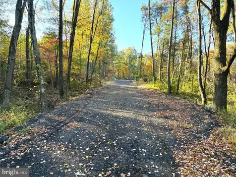16120 Brandy Road Culpeper VA 22701