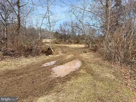 19197 Whites Farm Lane Culpeper VA 22701