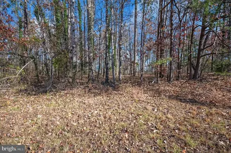 9577 Roys Lane Culpeper VA 22701