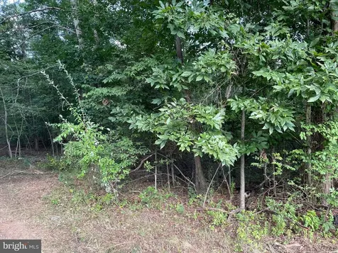 17464 Executive Lane Culpeper VA 22701