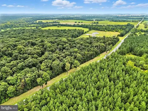 Zachary Taylor Culpeper VA 22701