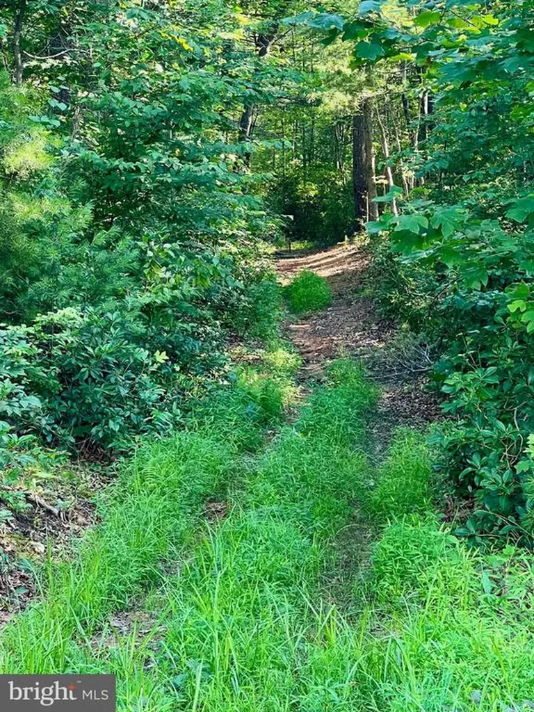 17034 Lee Highway Amissville VA 20106