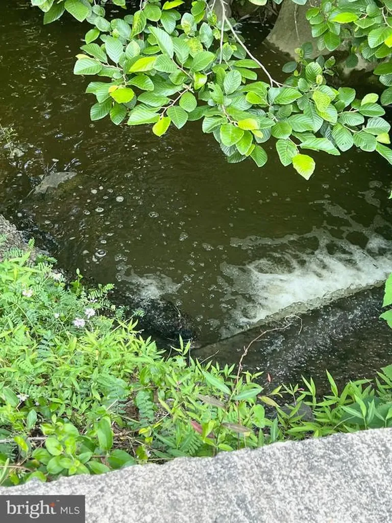 17034 Lee Highway Amissville VA 20106