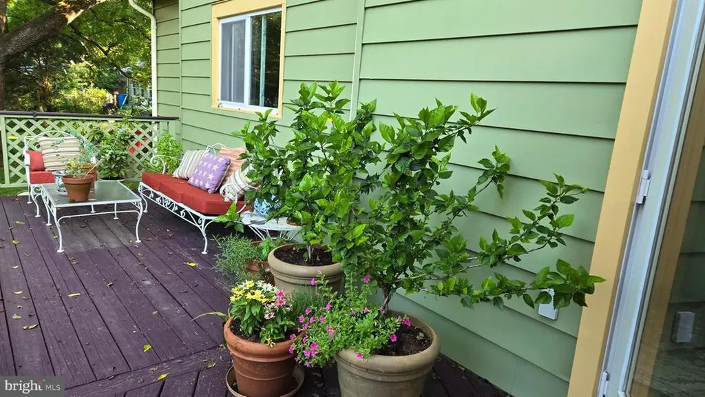 802 Blue Ridge Avenue S Culpeper VA 22701