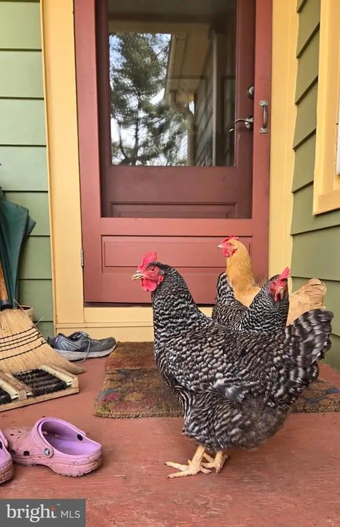 802 Blue Ridge Avenue S Culpeper VA 22701