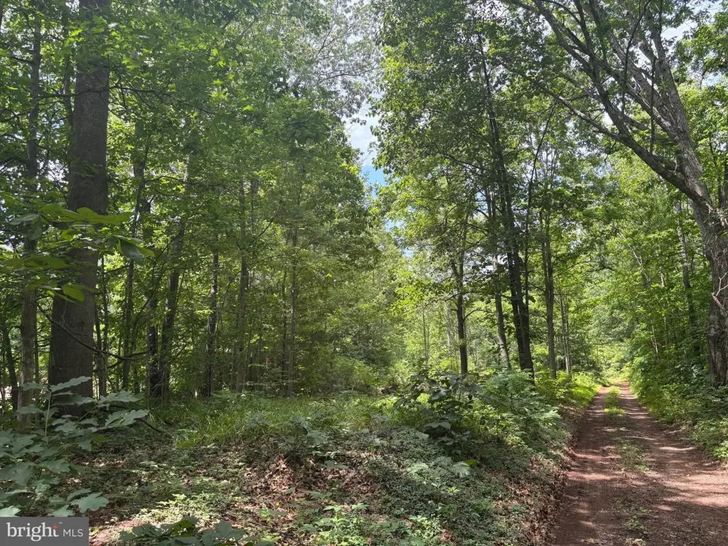 Mount Pisgah Church Drive Orange VA 22960