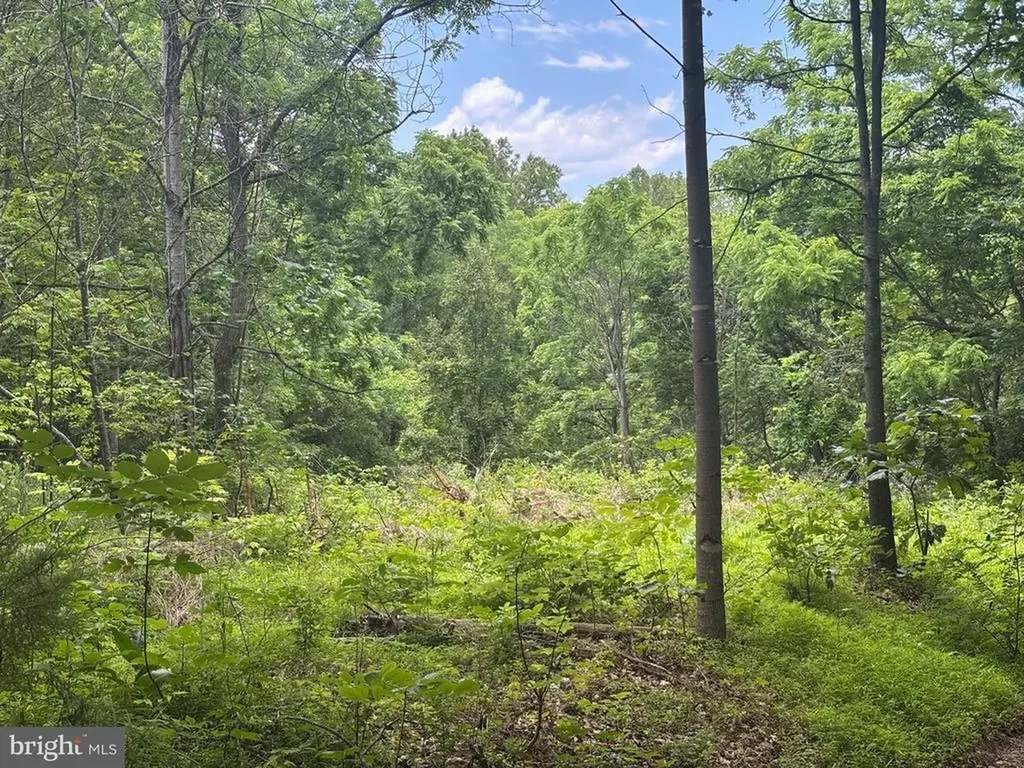 Mount Pisgah Church Drive Orange VA 22960