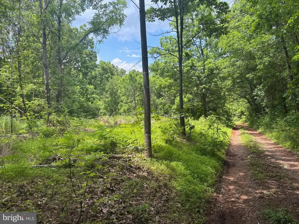 Mount Pisgah Church Drive Orange VA 22960