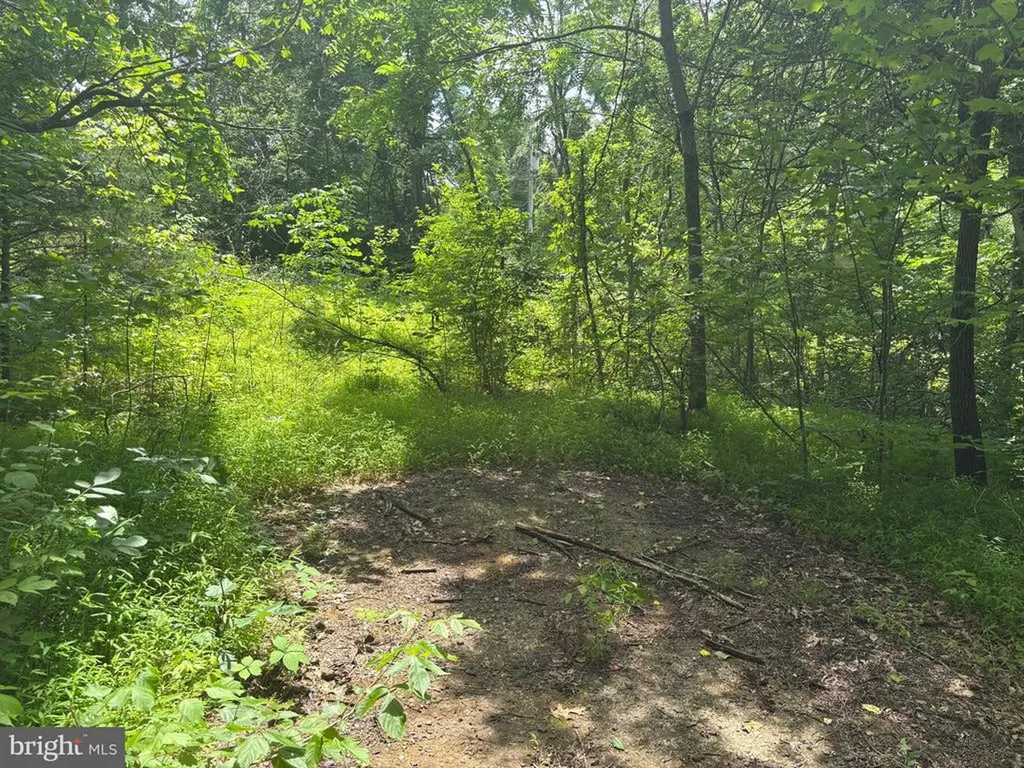 Mount Pisgah Church Drive Orange VA 22960