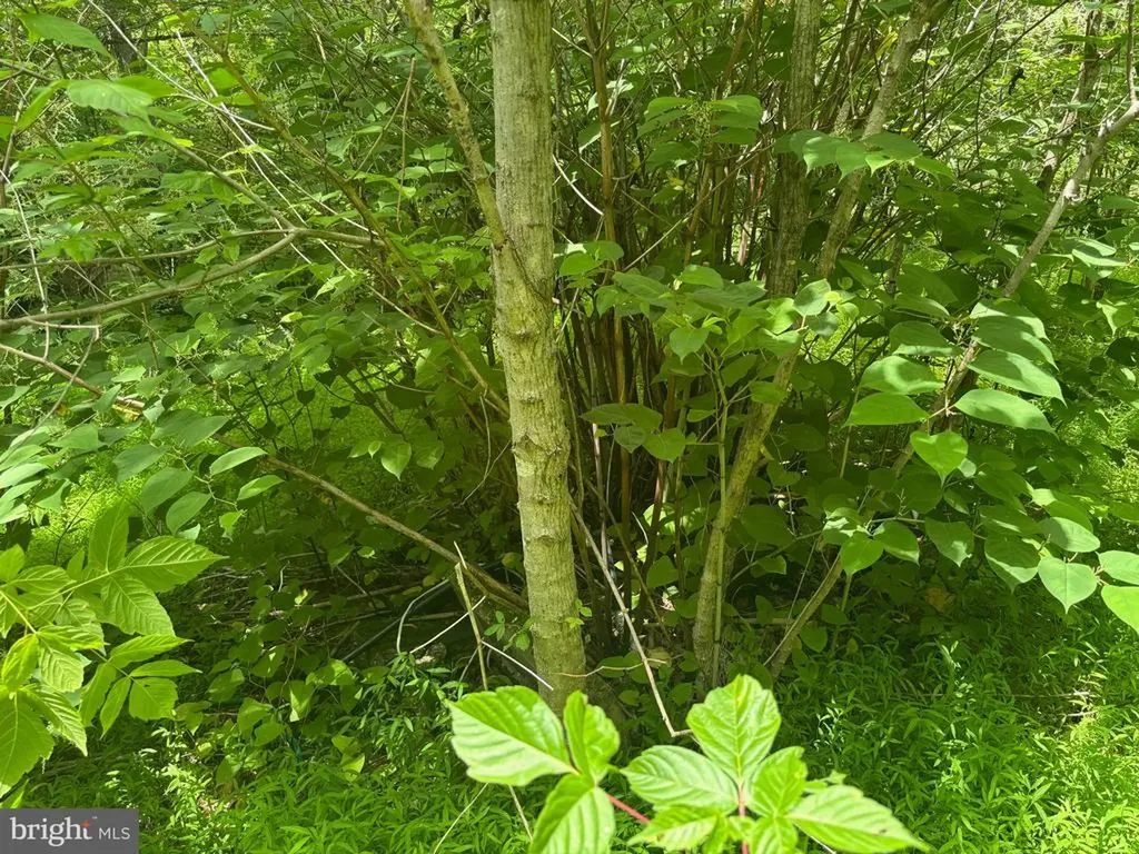 Mount Pisgah Church Drive Orange VA 22960