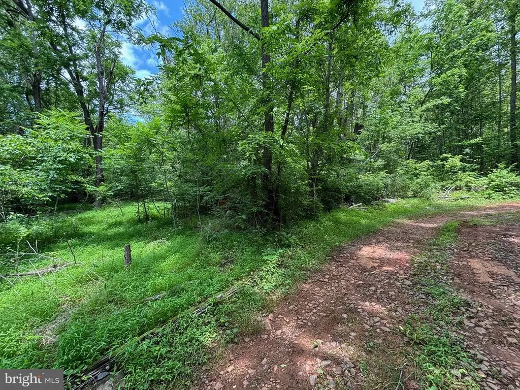 Mount Pisgah Church Drive Orange VA 22960