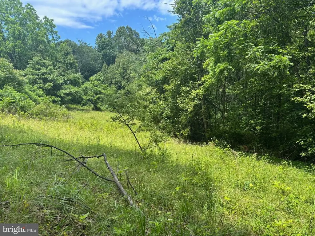 Mount Pisgah Church Drive Orange VA 22960