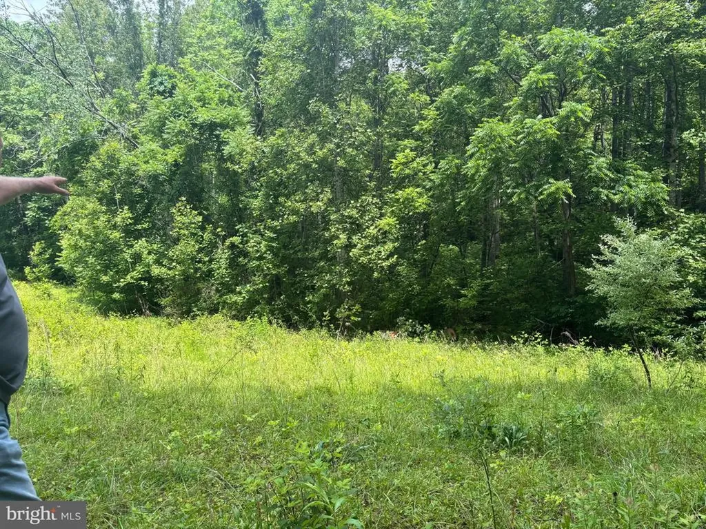 Mount Pisgah Church Drive Orange VA 22960