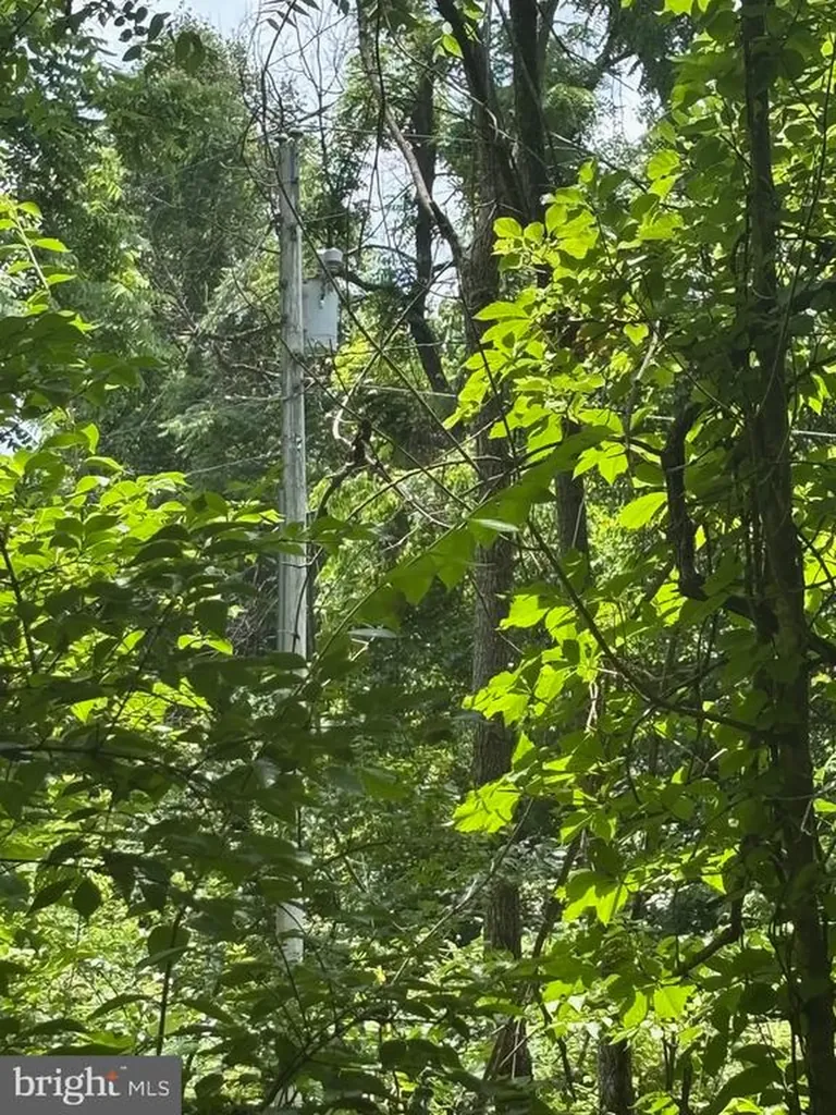 Mount Pisgah Church Drive Orange VA 22960