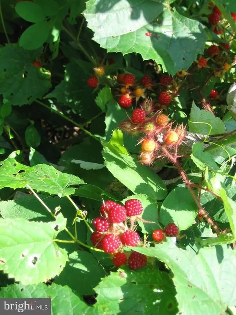 33 Circle Road E Madison VA 22727