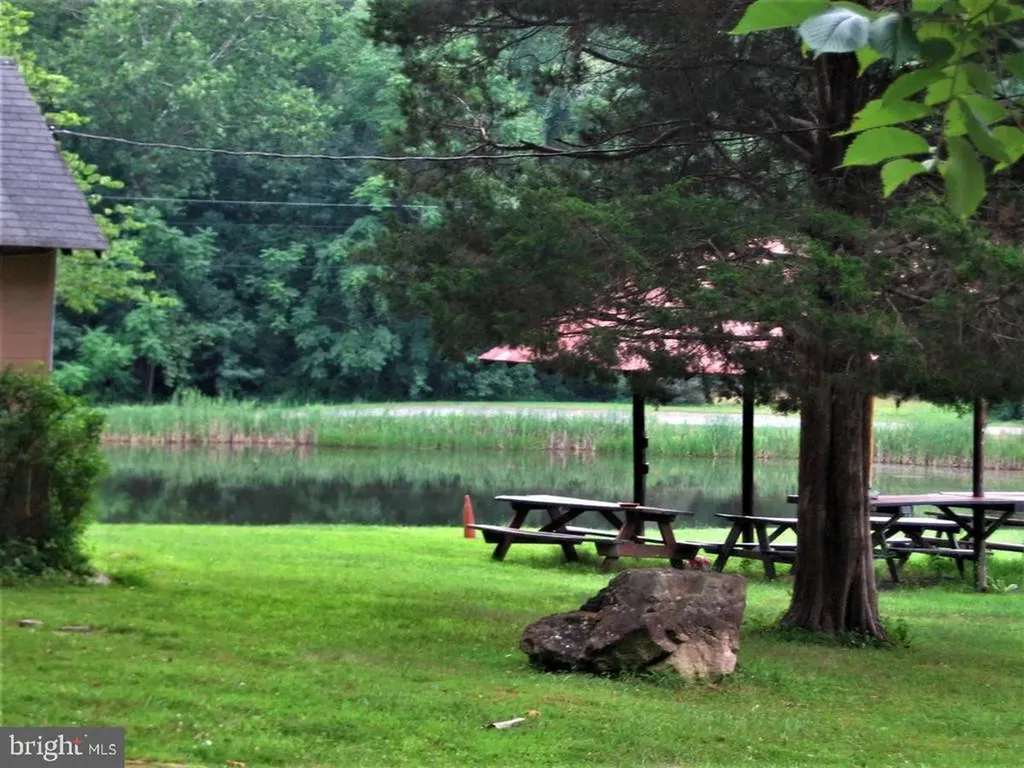 33 Circle Road E Madison VA 22727