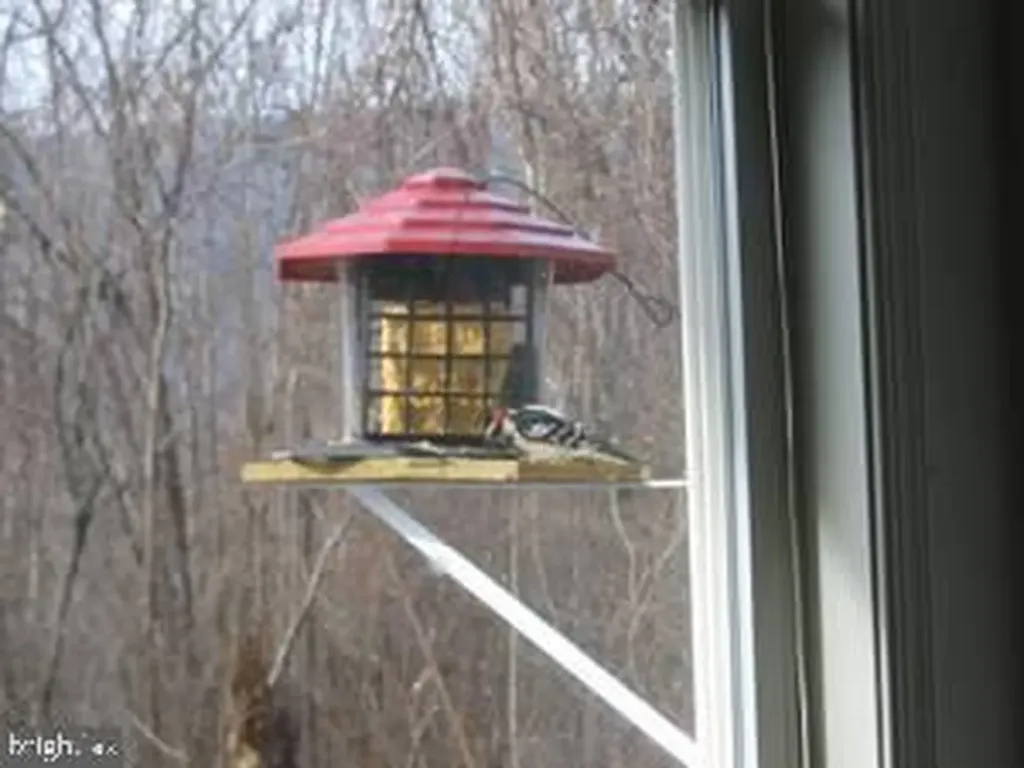 33 Circle Road E Madison VA 22727