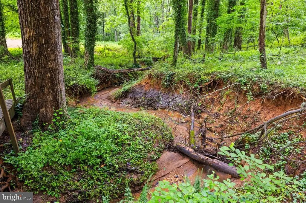 319 Fox Hunters Lane Madison VA 22727