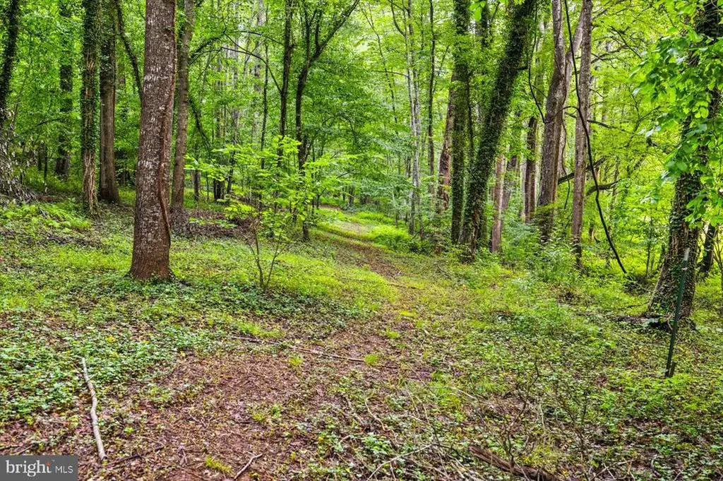 319 Fox Hunters Lane Madison VA 22727