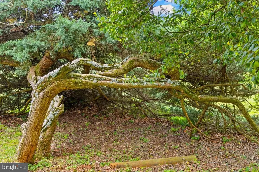 1830 Thrift Road Madison VA 22727