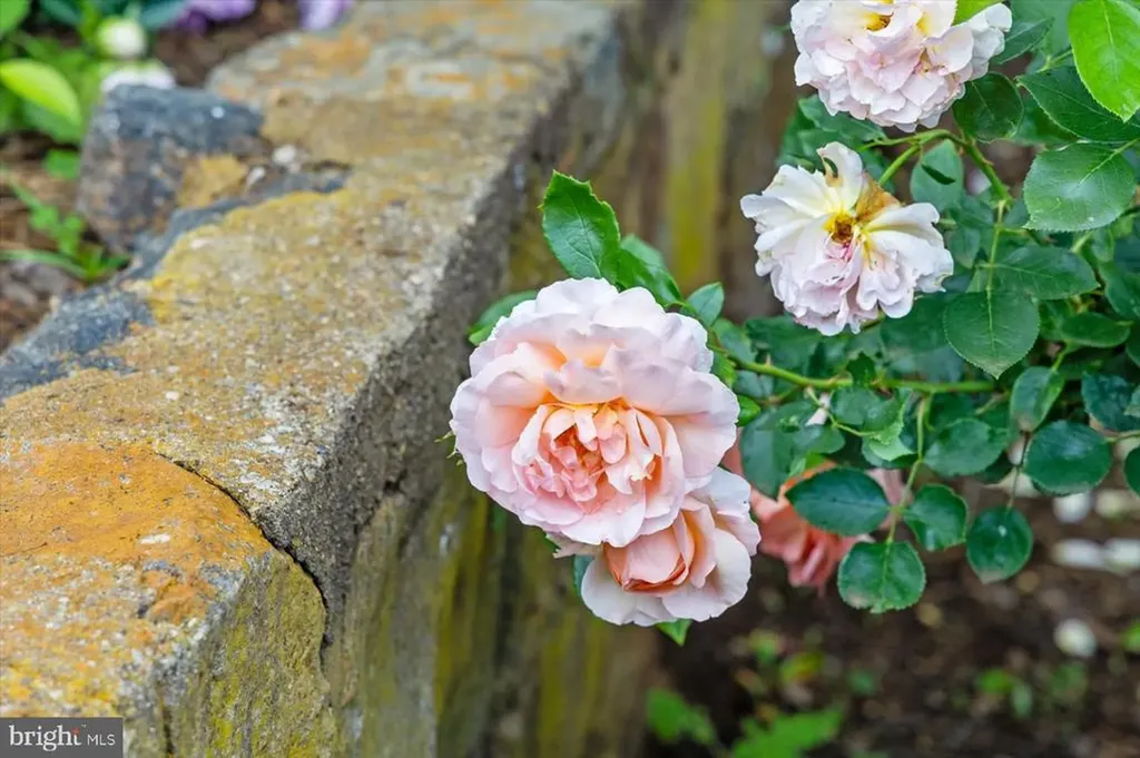 1830 Thrift Road Madison VA 22727