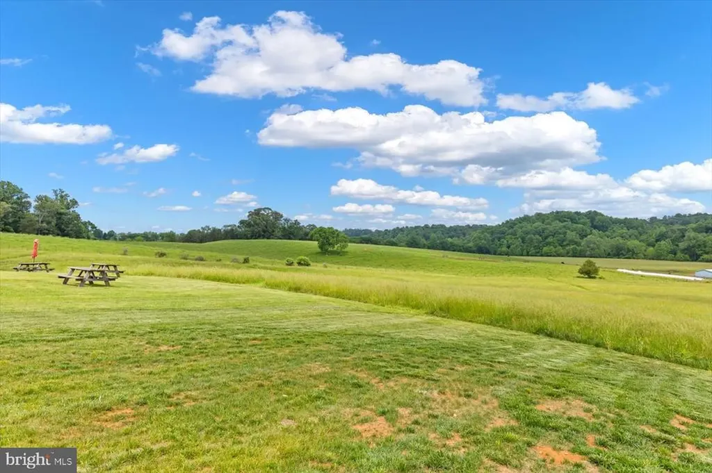 1830 Thrift Road Madison VA 22727