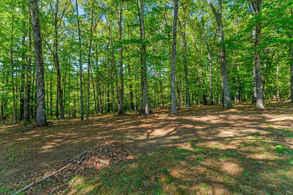 3690 Beautiful Run Road Orange VA 22960