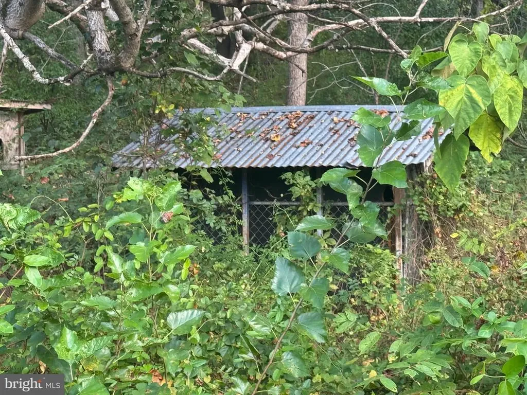 5424 Seminole Trail N Brightwood VA 22715