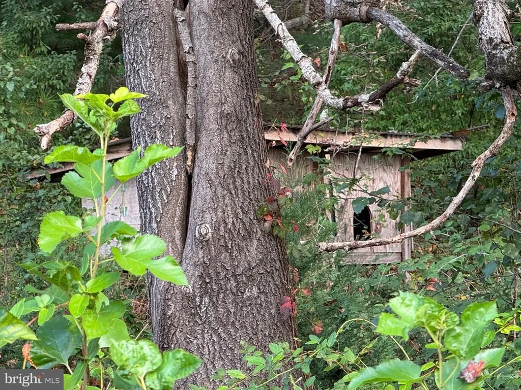 5424 Seminole Trail N Brightwood VA 22715