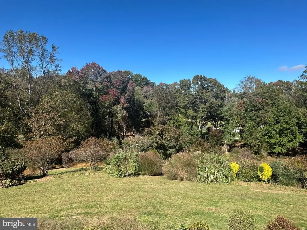 481 Malvern Drive Madison VA 22727