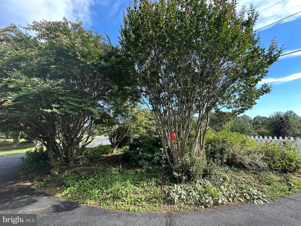 481 Malvern Drive Madison VA 22727